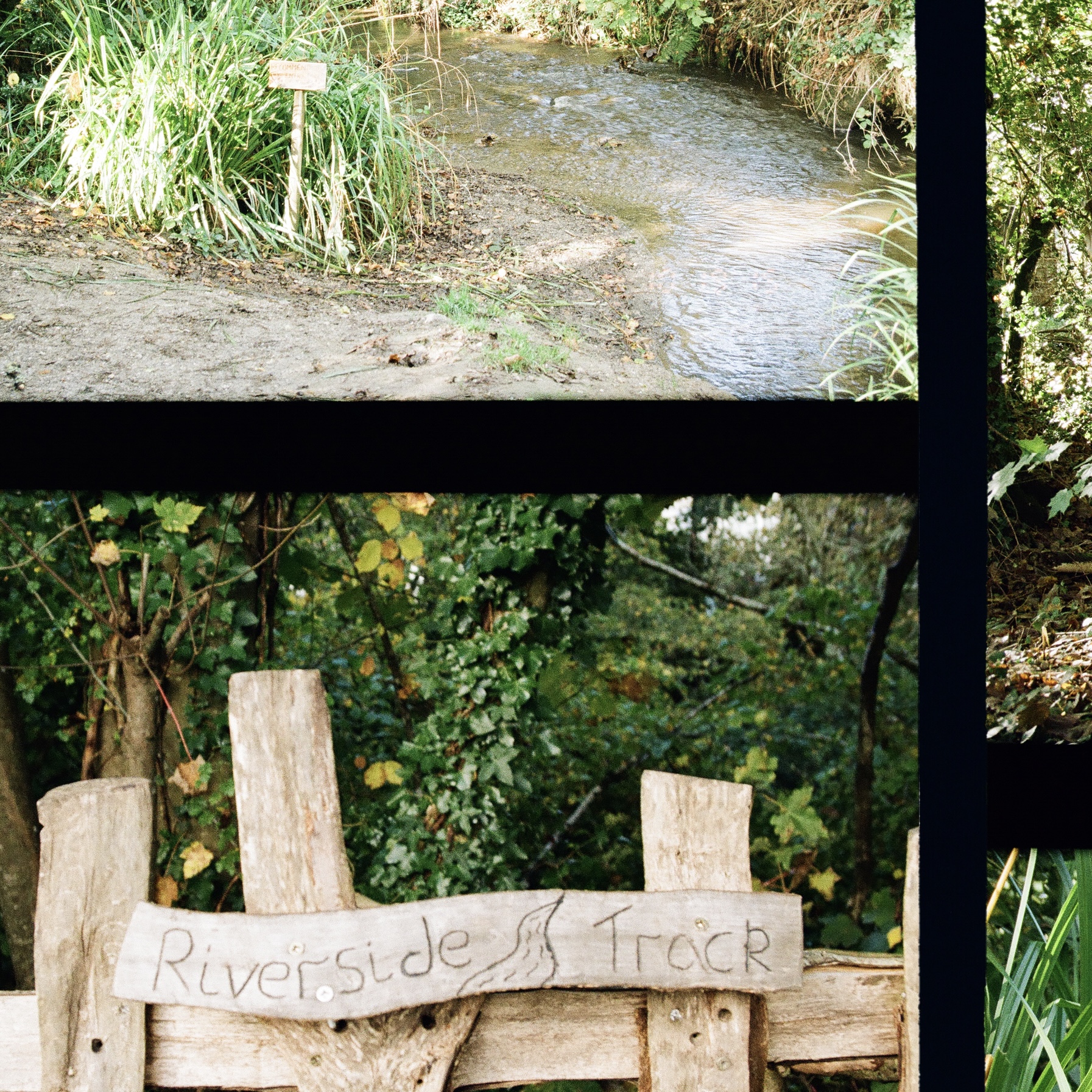 Gate into the woods with riverside track written on it