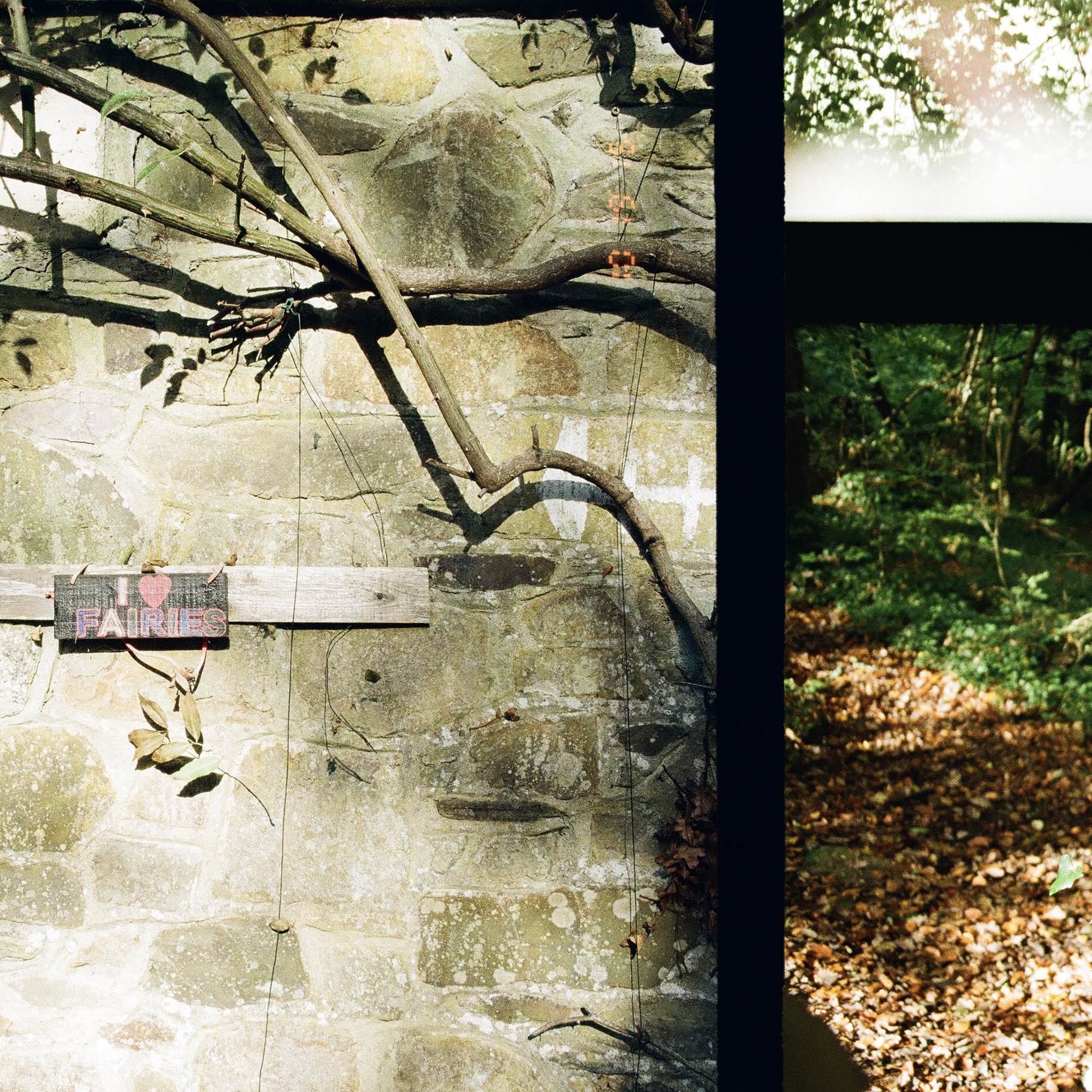 a wall with i love fairys sign on it