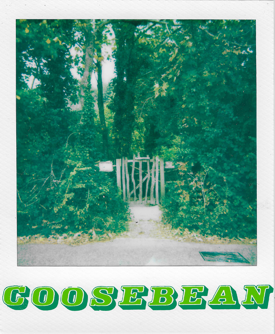 coosebean